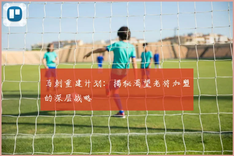 马刺重建计划:揭秘渴望老将加盟的深层战略