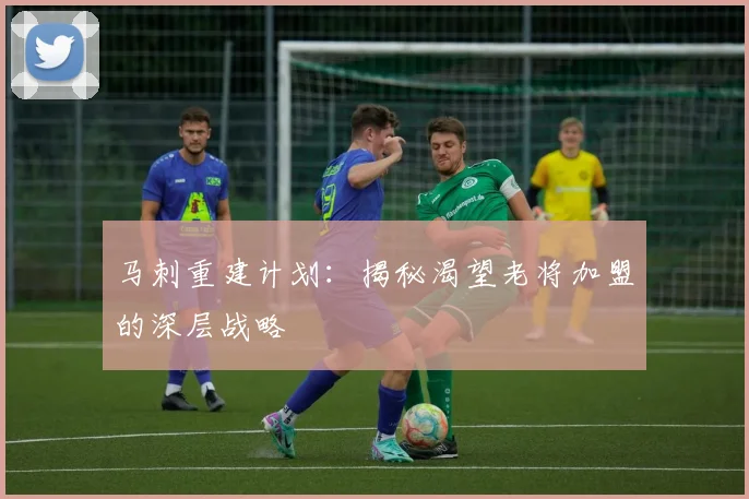 马刺重建计划:揭秘渴望老将加盟的深层战略